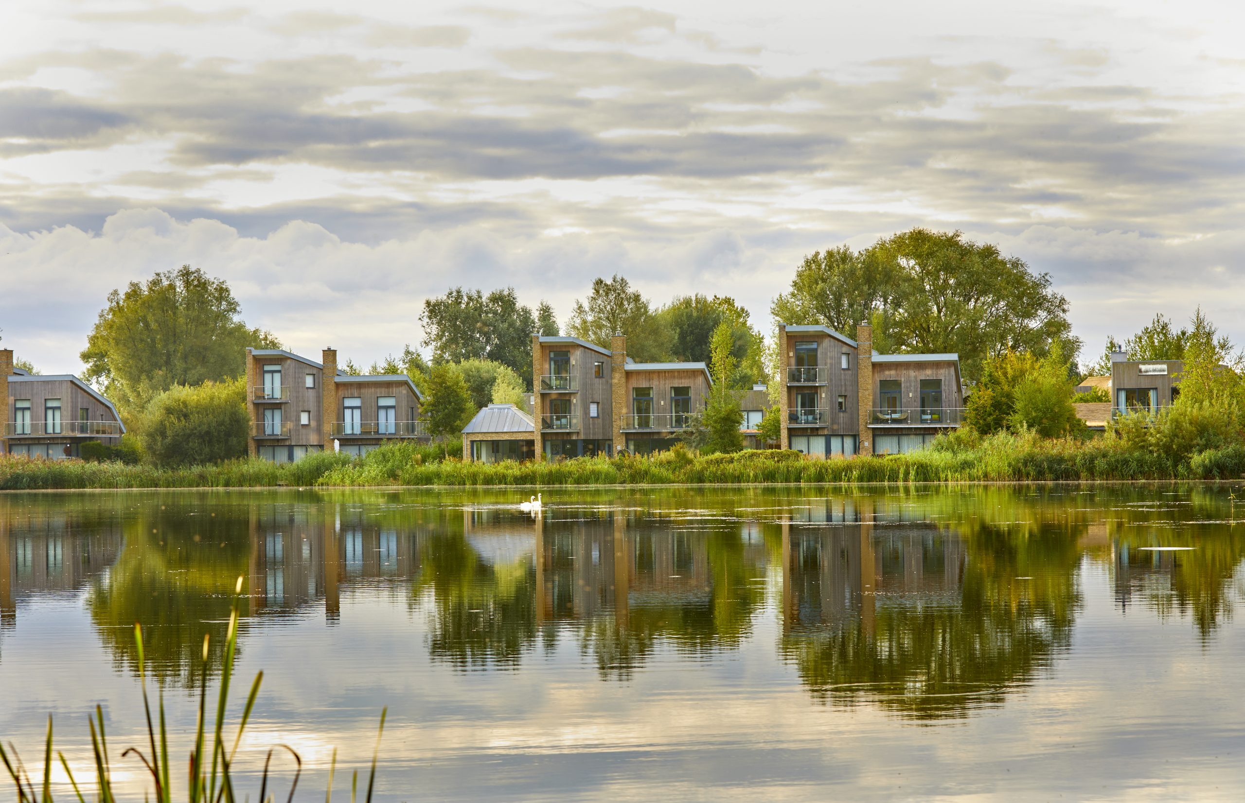 Modern lakeside houses looking over the lake with swans and trees